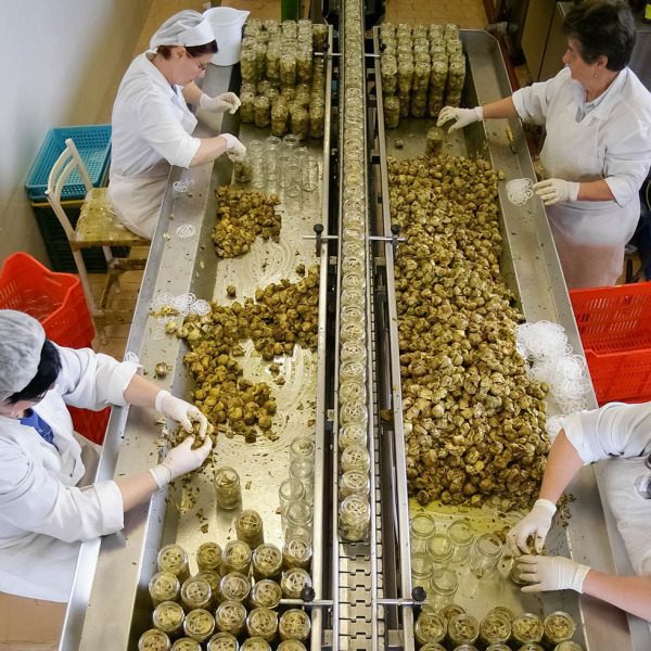 Grillede artisjokkhjerter 280g