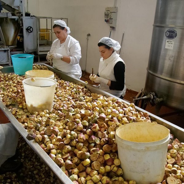 Grillede artisjokkhjerter 280g